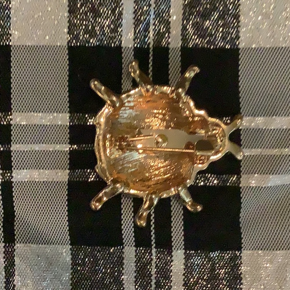 Beetle Bug π Pin. - Picture 4 of 4